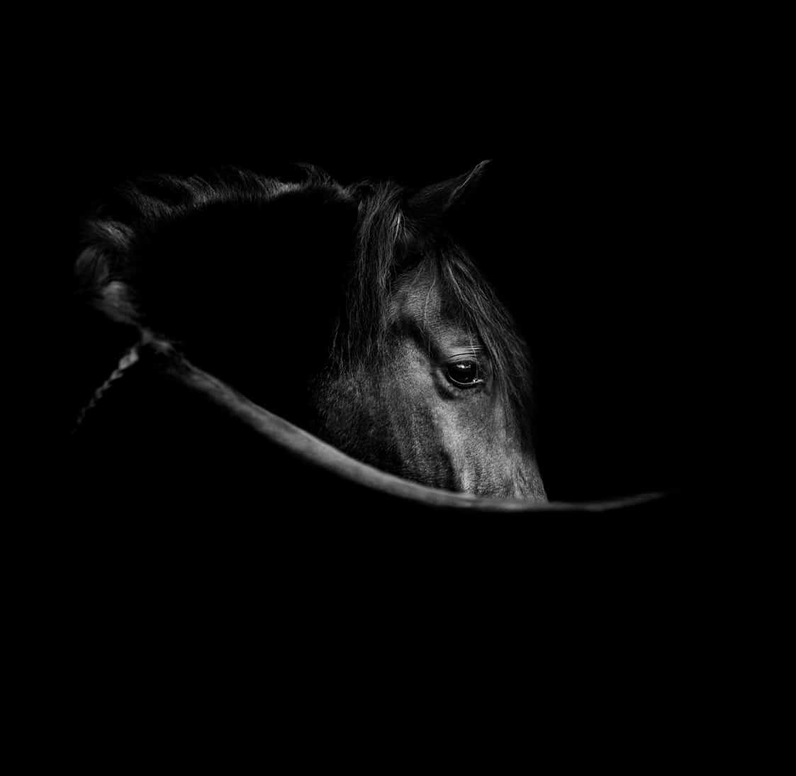 cheval